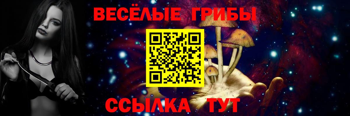 Галлюциногенные грибы ЛСД Вышний Волочёк